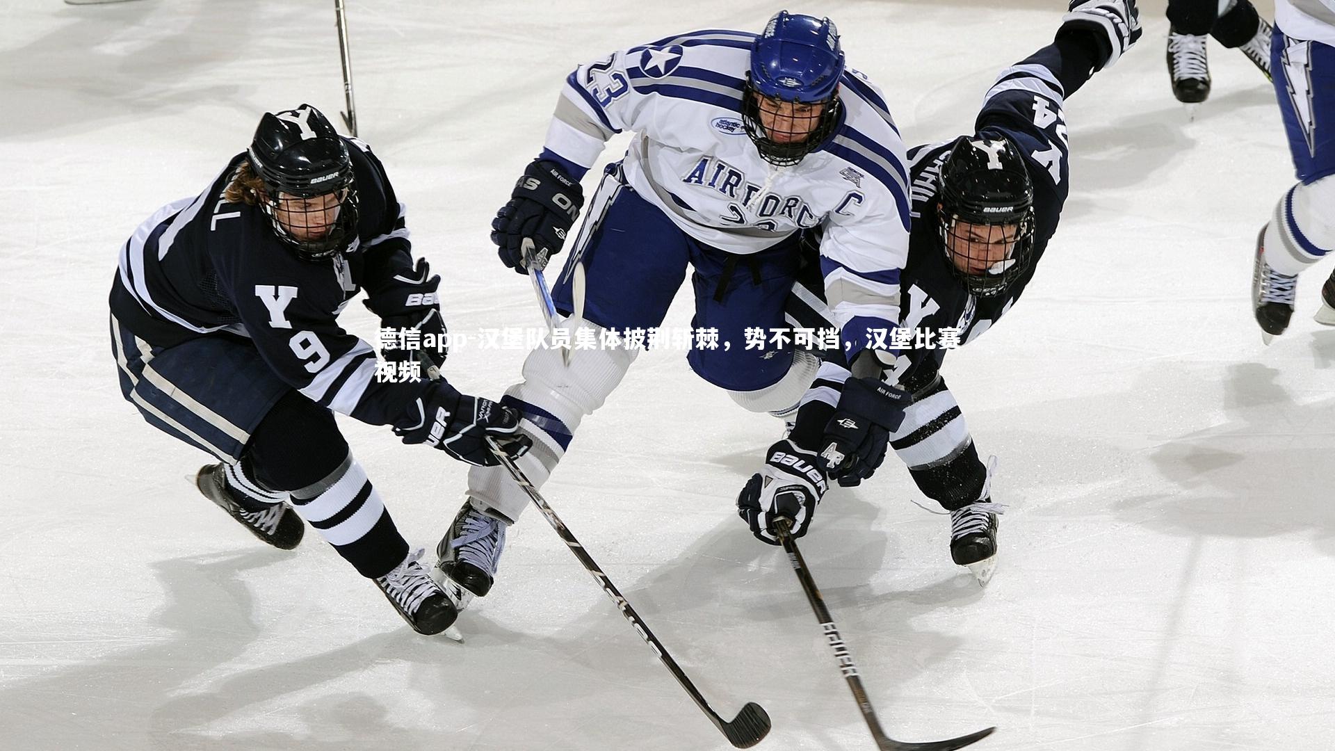 汉堡队员集体披荆斩棘，势不可挡，汉堡比赛视频